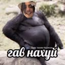 _Mommy13_