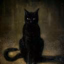 nighty-cat