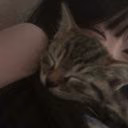 vindee_