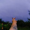 StaceConnor