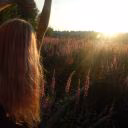 Gvistiny