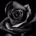 user08279307