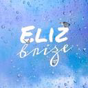 elizbrize