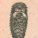 Krovok
