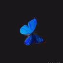 Evans_Mia
