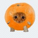 mandarinchiks