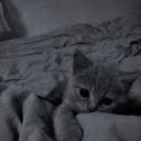 mana_070811