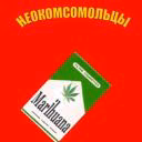 sashapodolsky