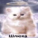 liceAlce66