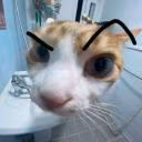 12hyung66