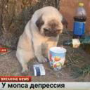 Serderei_