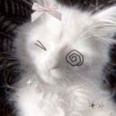EchoNine