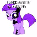 user14915088