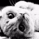 Milaha_777