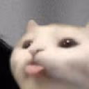 ettoniika