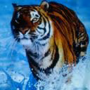 dasha_fox2006
