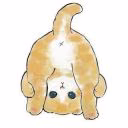 Ukina0220