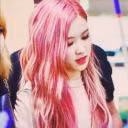 Rose8926