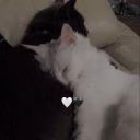 Kiti-ket2