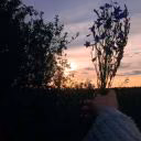 rina_qeen29