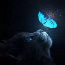 ann____kiska147
