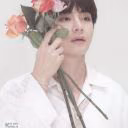 1230vkook0109