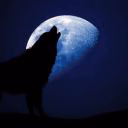 Shadow24222