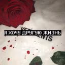 wolf_single