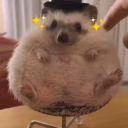 worldbeau000