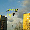 Anelim_fly