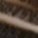 Taripa80