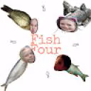 fishfour1