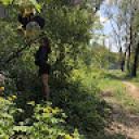 Panenkodi