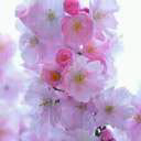 user47617668