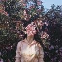 amelihikka