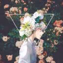 Clover_Failure