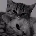 Ksenia_the_Hedshog