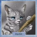 user23485244