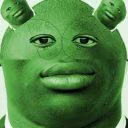 HegdehogXYU