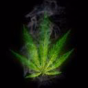 Arifffa_lol