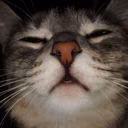 AntonLuin