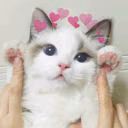 kotikmeoow