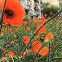 user12707514