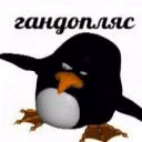 gandoplas