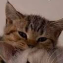 esenikk