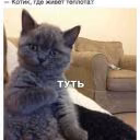Dasha965754
