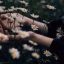 _Dark_Summer_