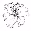 White_Lilie