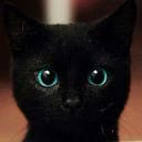 Funny__Kate