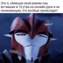tipoect